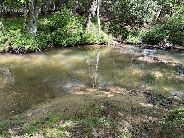 LT23, 24 Arbor Creek Trl, Mineral Bluff, GA 30559