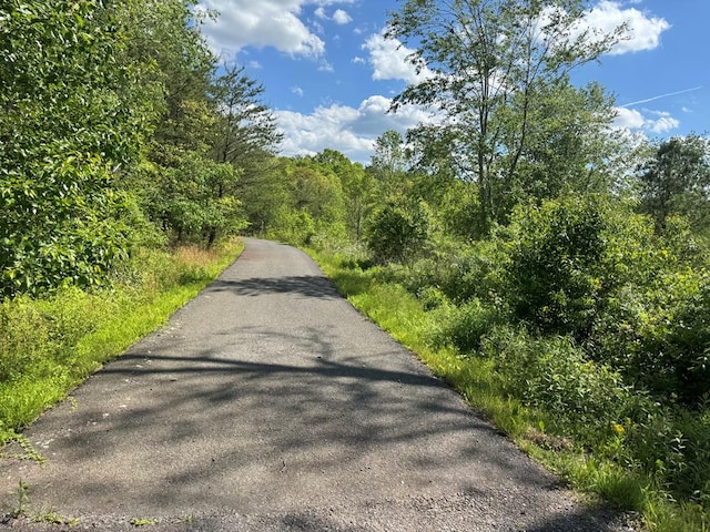 LT23, 24 Arbor Creek Trl, Mineral Bluff, GA 30559