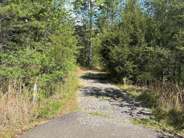 LT23, 24 Arbor Creek Trl, Mineral Bluff, GA 30559