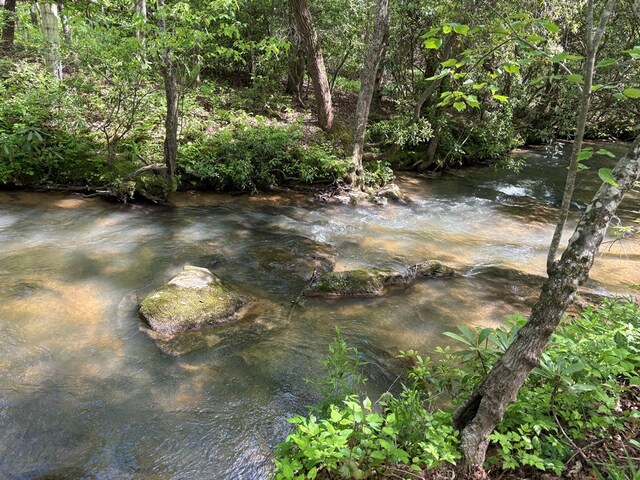 LT23, 24 Arbor Creek Trl, Mineral Bluff, GA 30559
