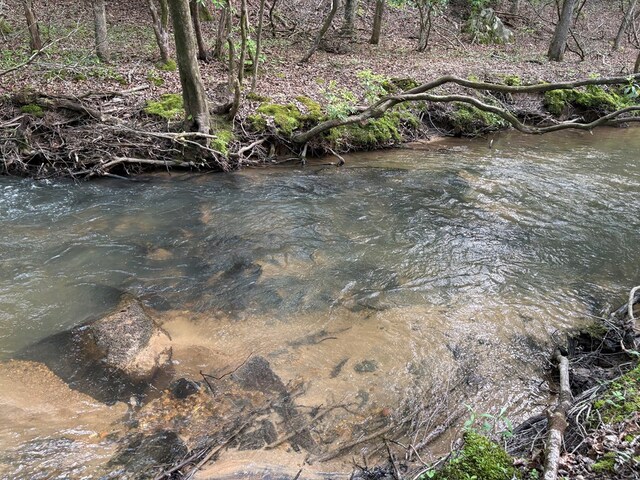 LT23, 24 Arbor Creek Trl, Mineral Bluff, GA 30559