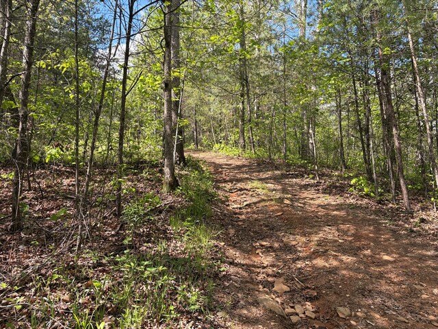 LT23, 24 Arbor Creek Trl, Mineral Bluff, GA 30559