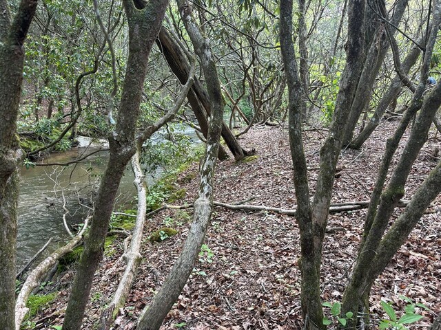LT23, 24 Arbor Creek Trl, Mineral Bluff, GA 30559