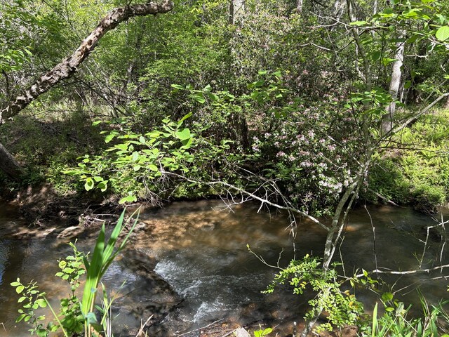 LT23, 24 Arbor Creek Trl, Mineral Bluff, GA 30559