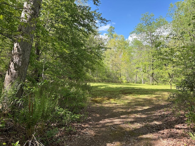 LT23, 24 Arbor Creek Trl, Mineral Bluff, GA 30559