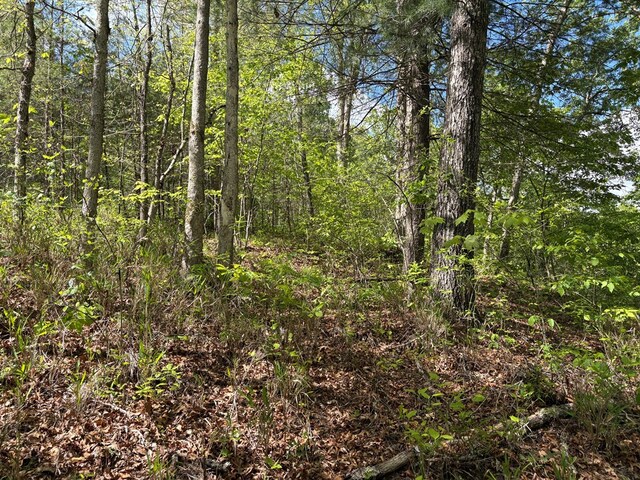 LT23, 24 Arbor Creek Trl, Mineral Bluff, GA 30559