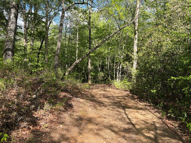 LT23, 24 Arbor Creek Trl, Mineral Bluff, GA 30559