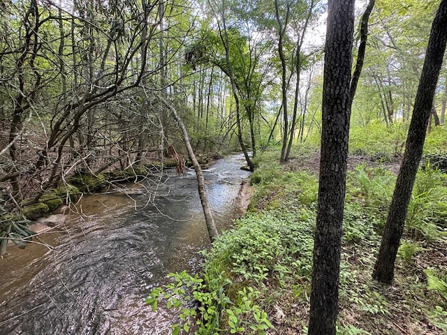 LT23, 24 Arbor Creek Trl, Mineral Bluff, GA 30559