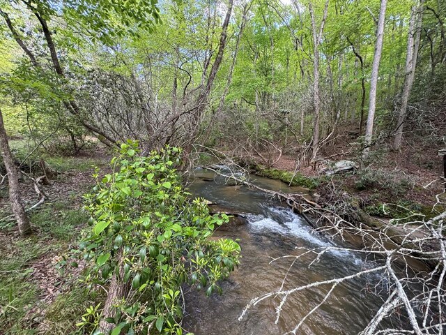 LT23, 24 Arbor Creek Trl, Mineral Bluff, GA 30559