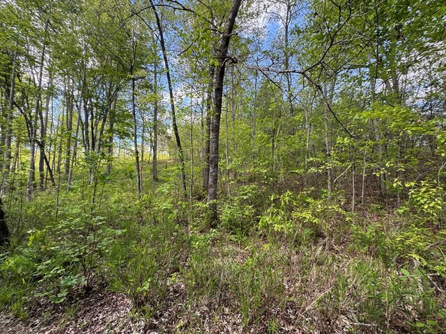 LT23, 24 Arbor Creek Trl, Mineral Bluff, GA 30559