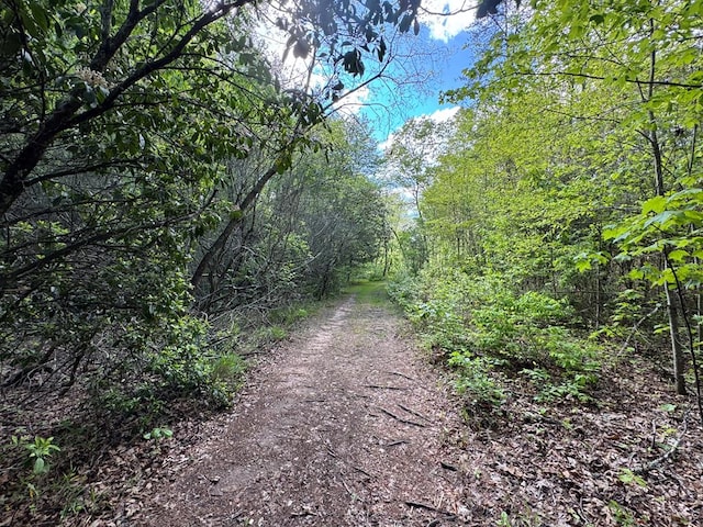 LT23, 24 Arbor Creek Trl, Mineral Bluff, GA 30559