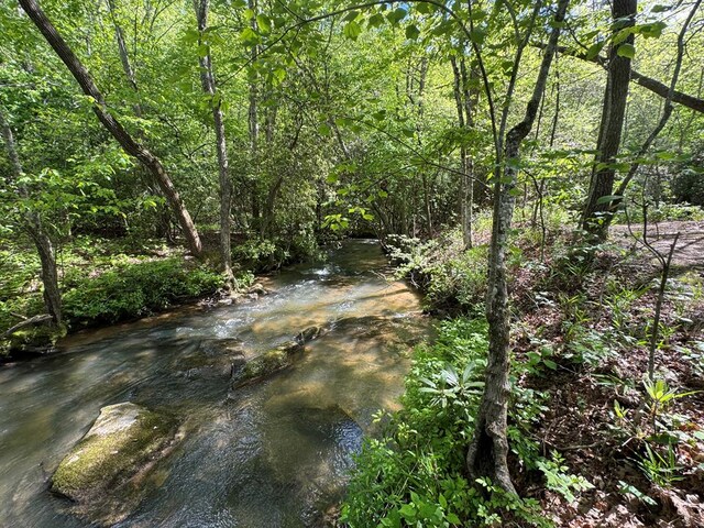 LT23, 24 Arbor Creek Trl, Mineral Bluff, GA 30559