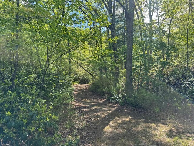 LT23, 24 Arbor Creek Trl, Mineral Bluff, GA 30559