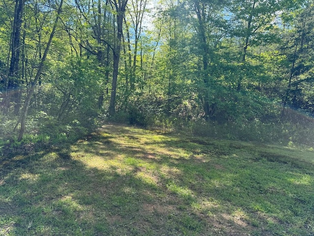 LT23, 24 Arbor Creek Trl, Mineral Bluff, GA 30559
