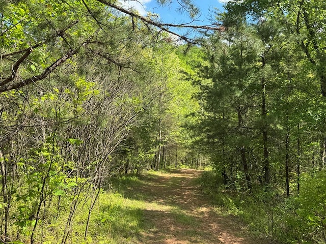 LT23, 24 Arbor Creek Trl, Mineral Bluff, GA 30559