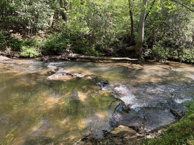 LT23, 24 Arbor Creek Trl, Mineral Bluff, GA 30559