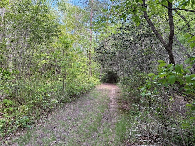 LT23, 24 Arbor Creek Trl, Mineral Bluff, GA 30559