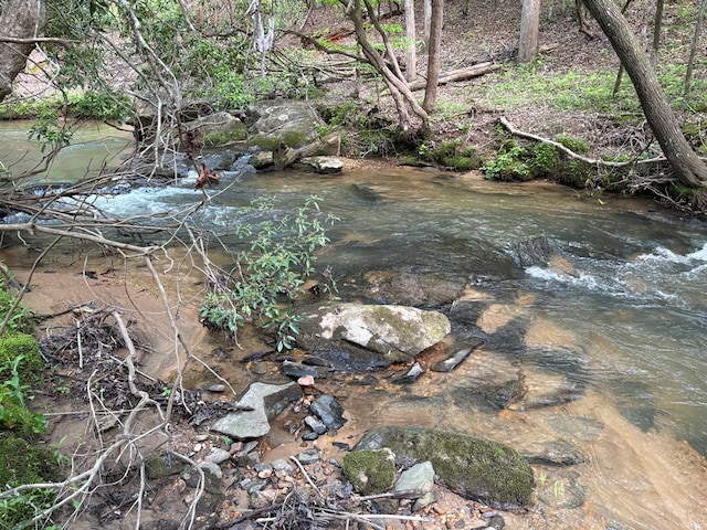 LT23, 24 Arbor Creek Trl, Mineral Bluff, GA 30559