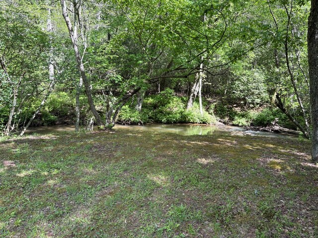 LT23, 24 Arbor Creek Trl, Mineral Bluff, GA 30559