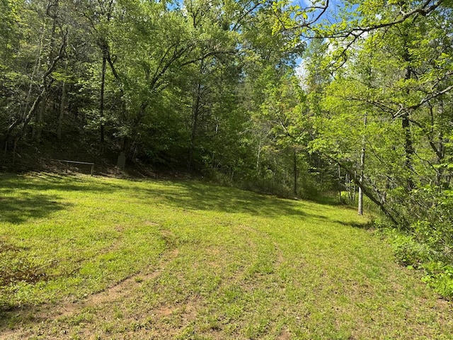 LT23, 24 Arbor Creek Trl, Mineral Bluff, GA 30559