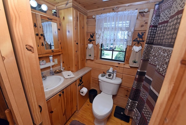 bathroom featuring vanity, toilet, and wooden walls