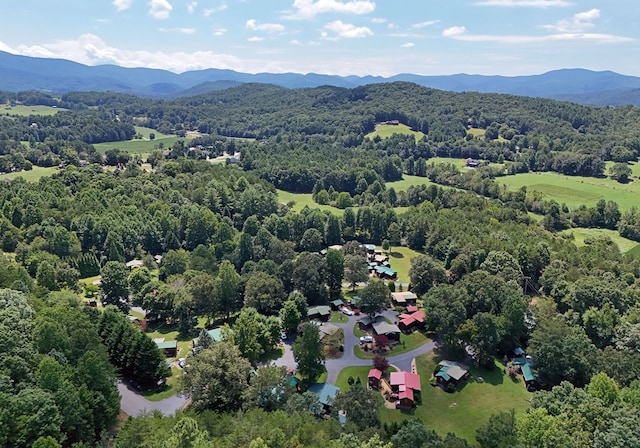 drone / aerial view with a mountain view