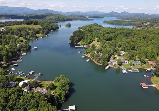 bird's eye view with a view of trees and a water and mountain view