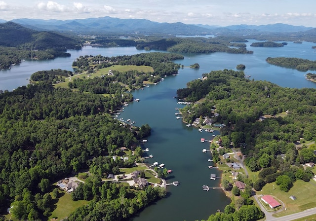 aerial view with a forest view and a water and mountain view