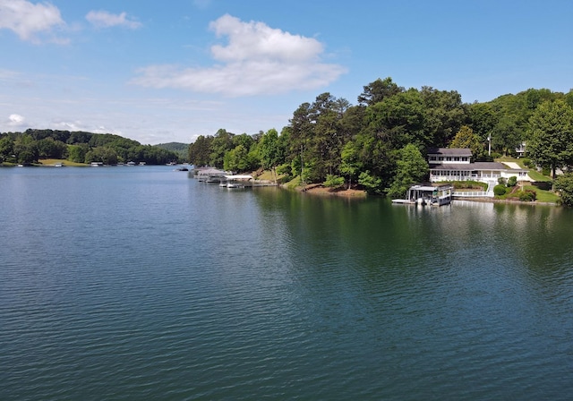 water view with a view of trees and a boat dock