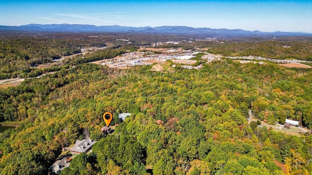 bird's eye view featuring a mountain view