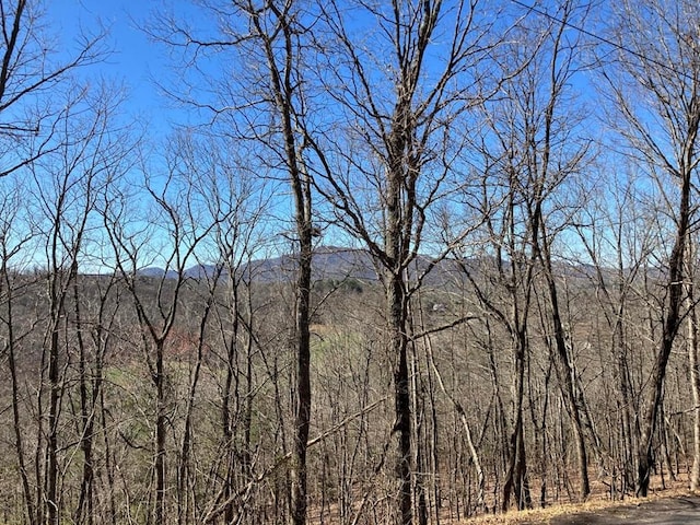 LOT4 Mirandi Dr, Warne, NC 28909