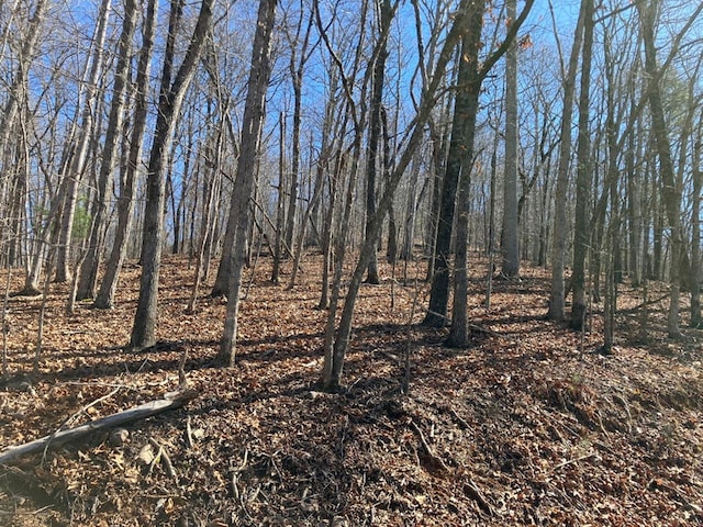 LOT4 Mirandi Dr, Warne, NC 28909