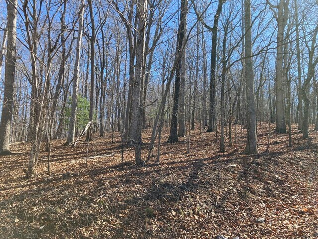 LOT4 Mirandi Dr, Warne, NC 28909