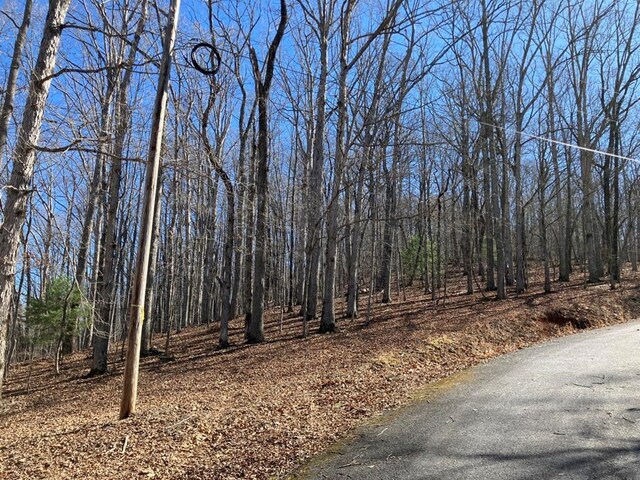 LOT4 Mirandi Dr, Warne, NC 28909