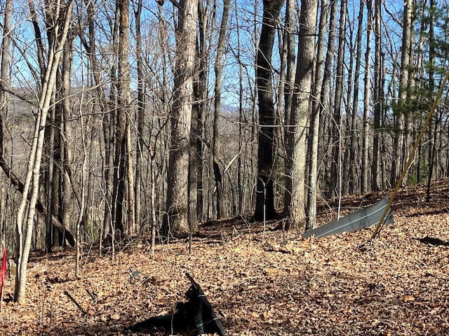 LOT4 Mirandi Dr, Warne, NC 28909