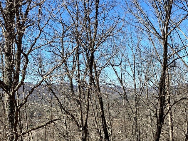 LOT4 Mirandi Dr, Warne, NC 28909