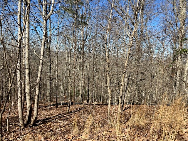 LOT4 Mirandi Dr, Warne, NC 28909