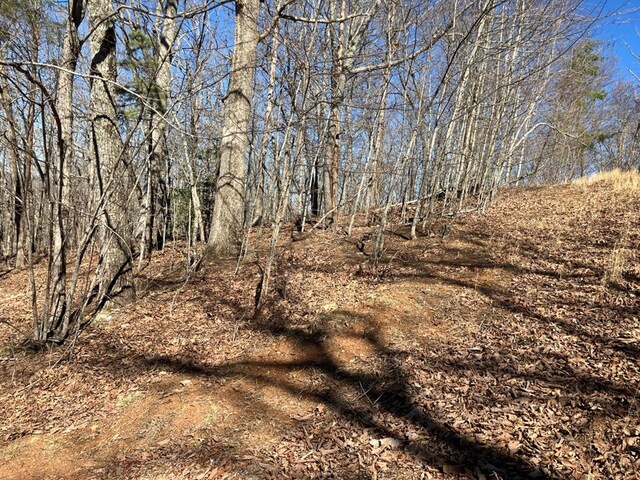 LOT4 Mirandi Dr, Warne, NC 28909