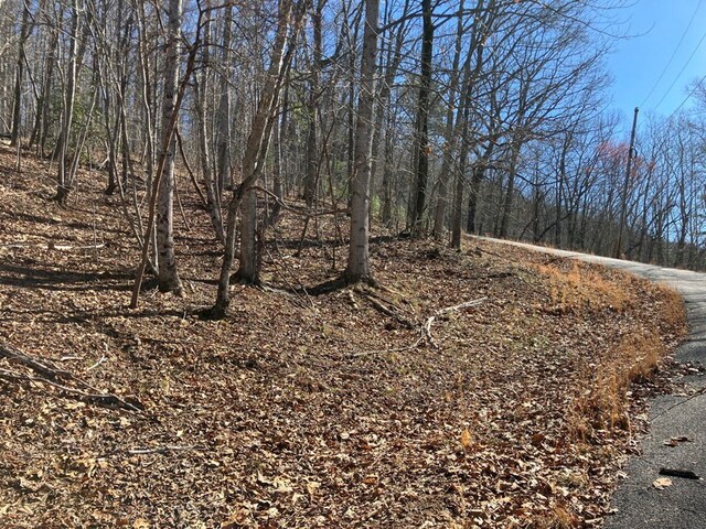 LOT4 Mirandi Dr, Warne, NC 28909