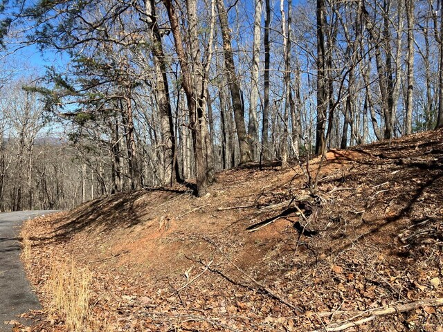 LOT4 Mirandi Dr, Warne, NC 28909