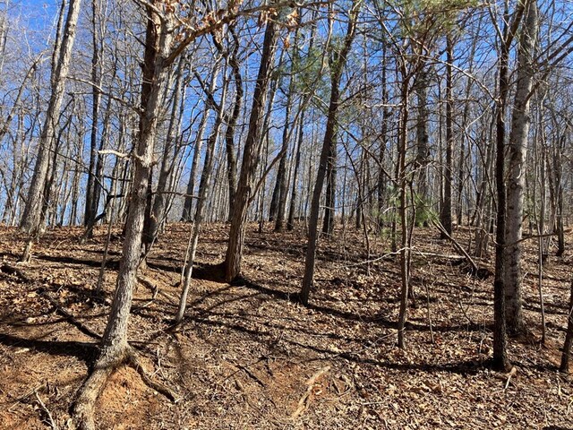 LOT4 Mirandi Dr, Warne, NC 28909