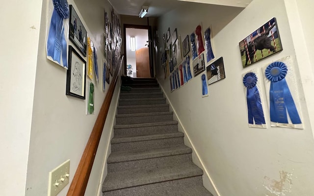 stairway featuring carpet flooring