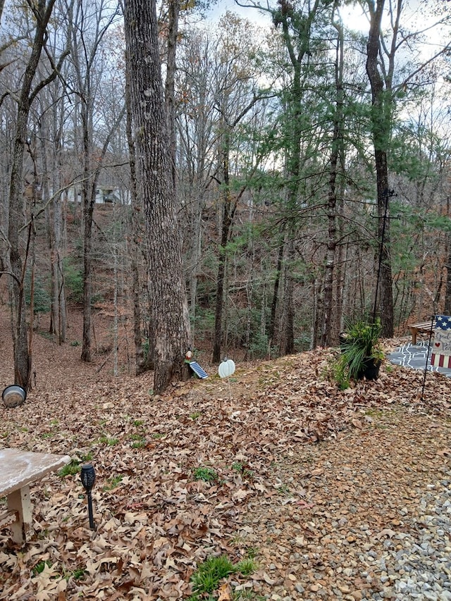 view of yard featuring a view of trees