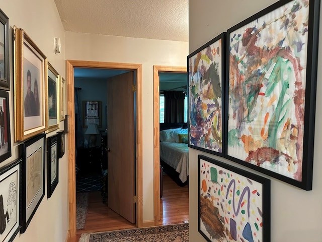 45 Settlers Crossing Way, Murphy, NC 28906 - hallway featuring a textured ceiling and wood finished floors