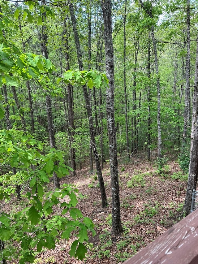 45 Settlers Crossing Way, Murphy, NC 28906 - view of nature with a forest view