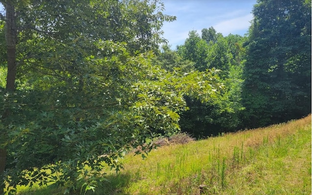 24 Mountain Knoll Ln, Warne, NC 28909