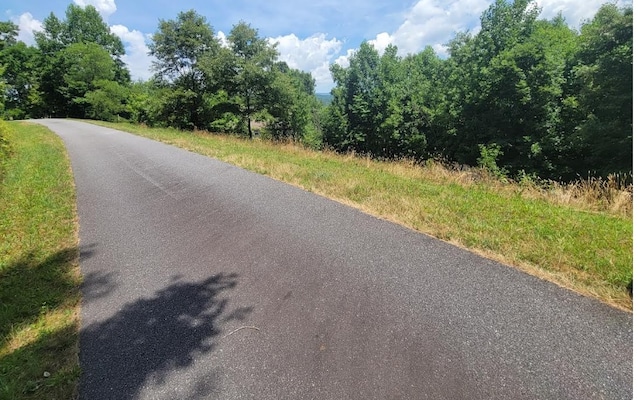 24 Mountain Knoll Ln, Warne, NC 28909