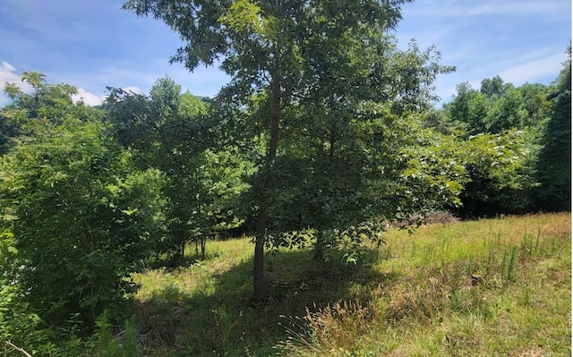 24 Mountain Knoll Ln, Warne, NC 28909