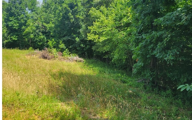 24 Mountain Knoll Ln, Warne, NC 28909
