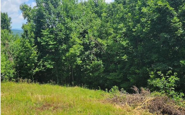 24 Mountain Knoll Ln, Warne, NC 28909